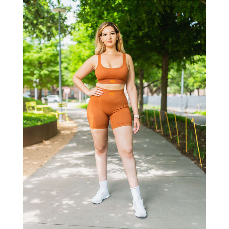 https://www.vlaunwrightco.com/products/seamless-high-waisted-shorts-cinnamon-dolce